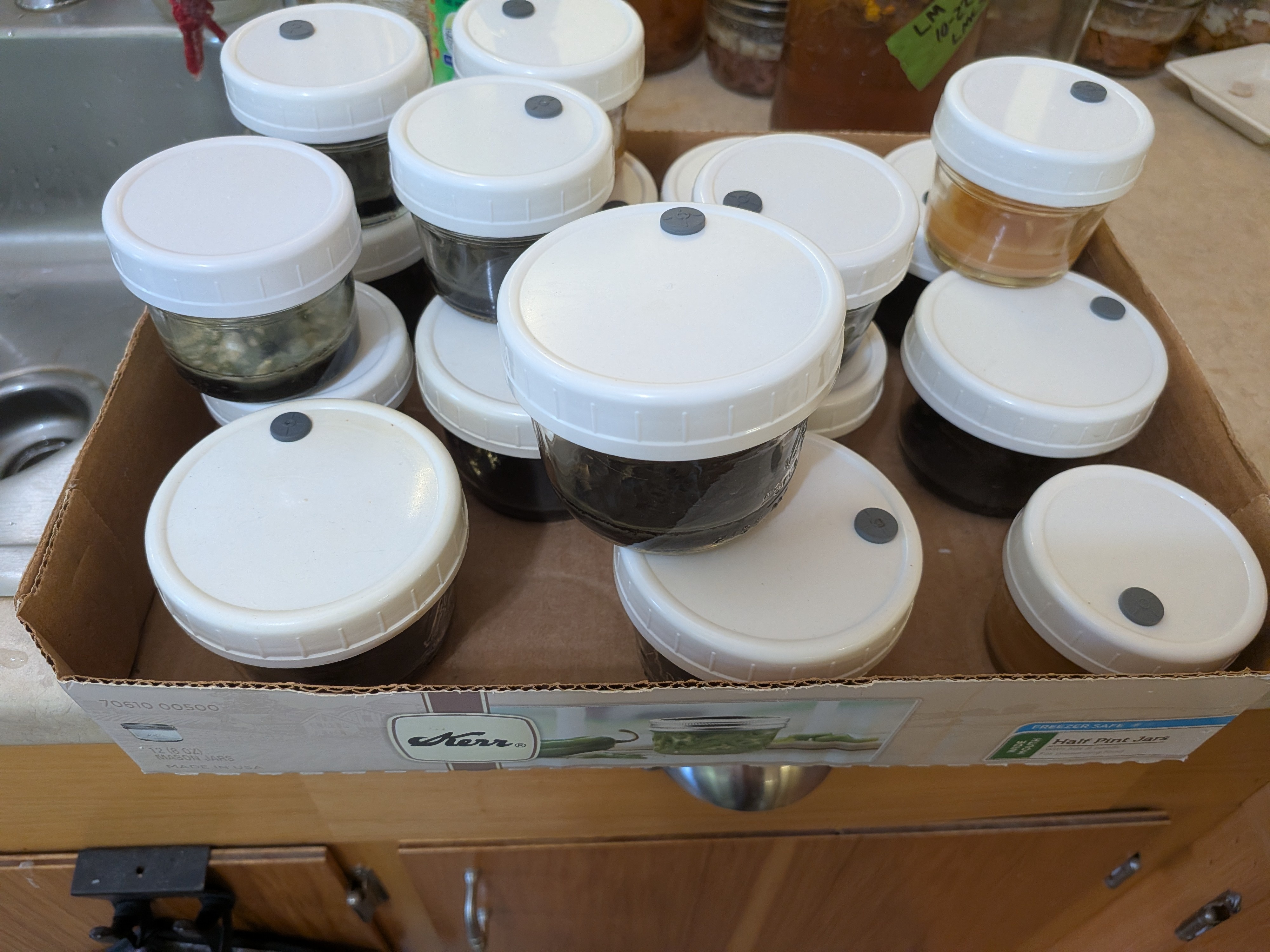 Failed Agar Jars