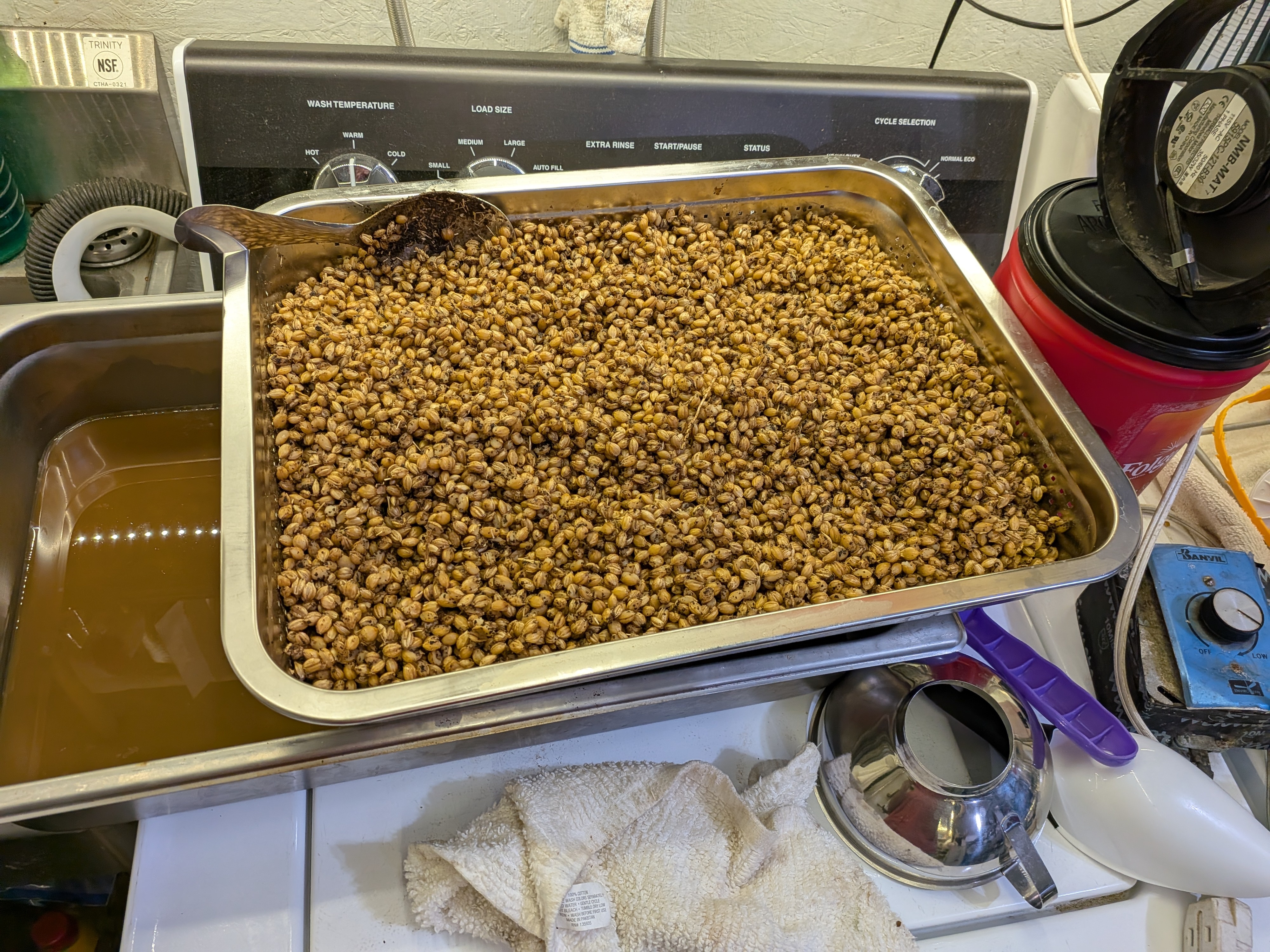 Drying Grains