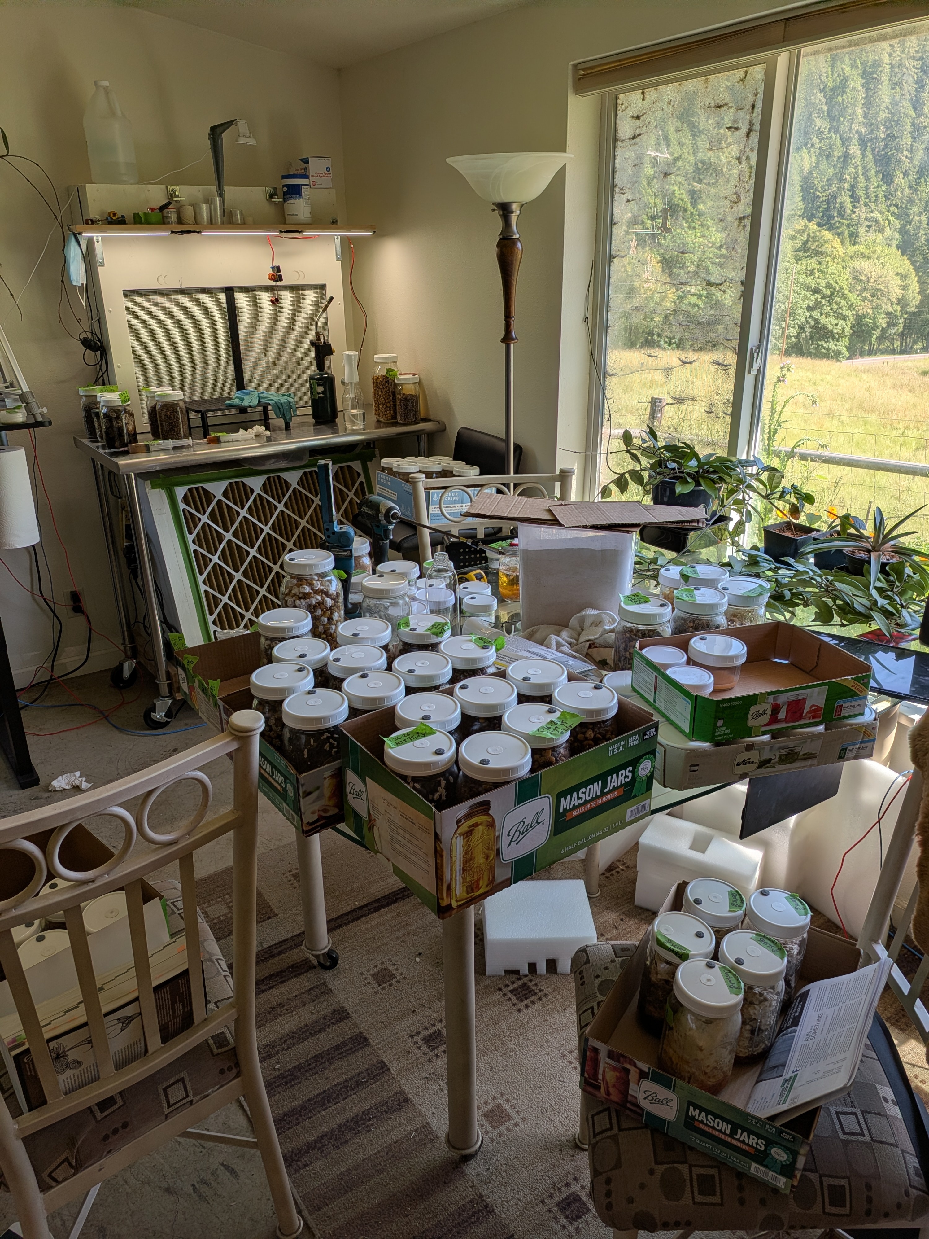 Home Mycology Kitchen Overview