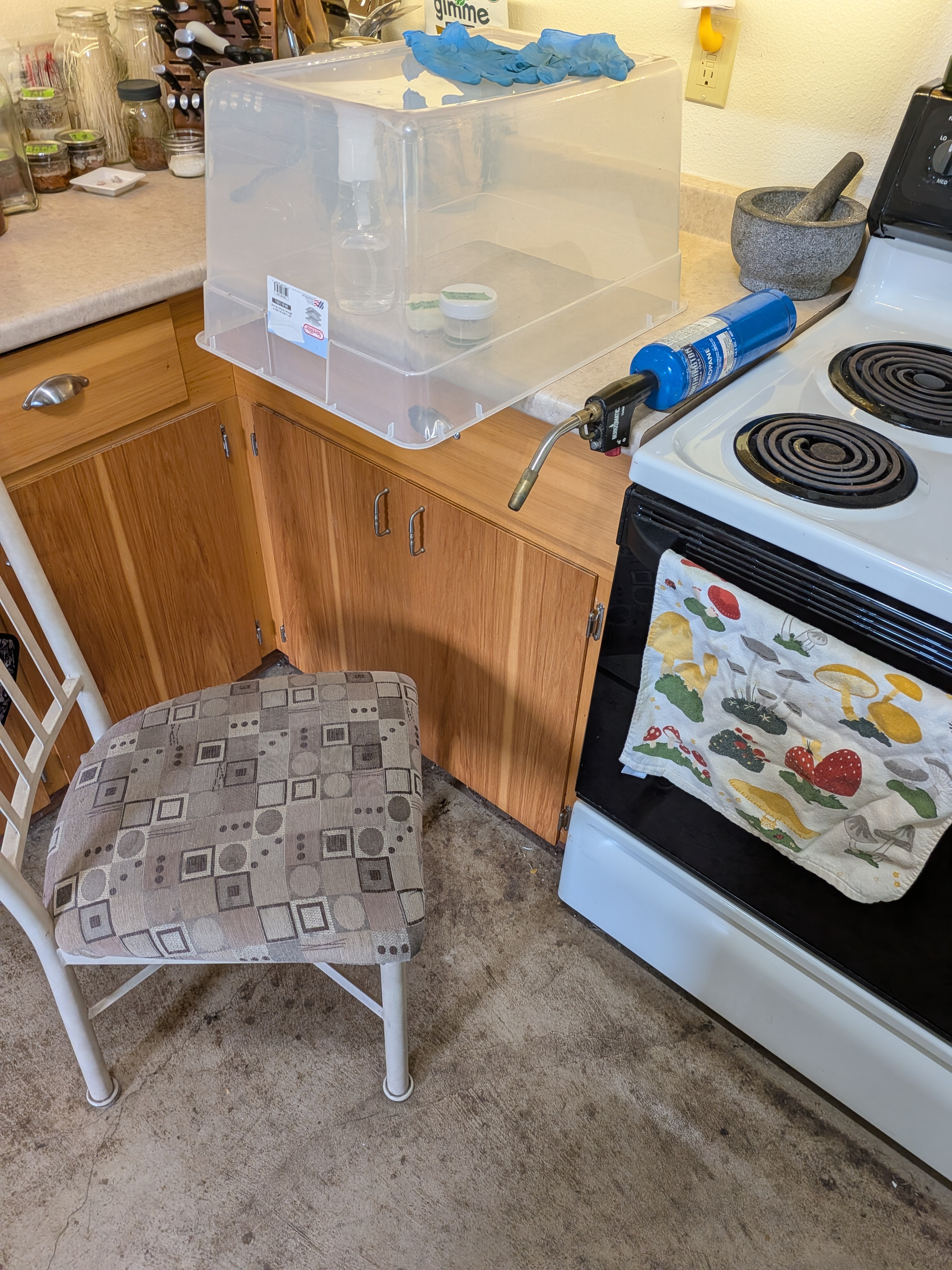 SAB Kitchen Setup