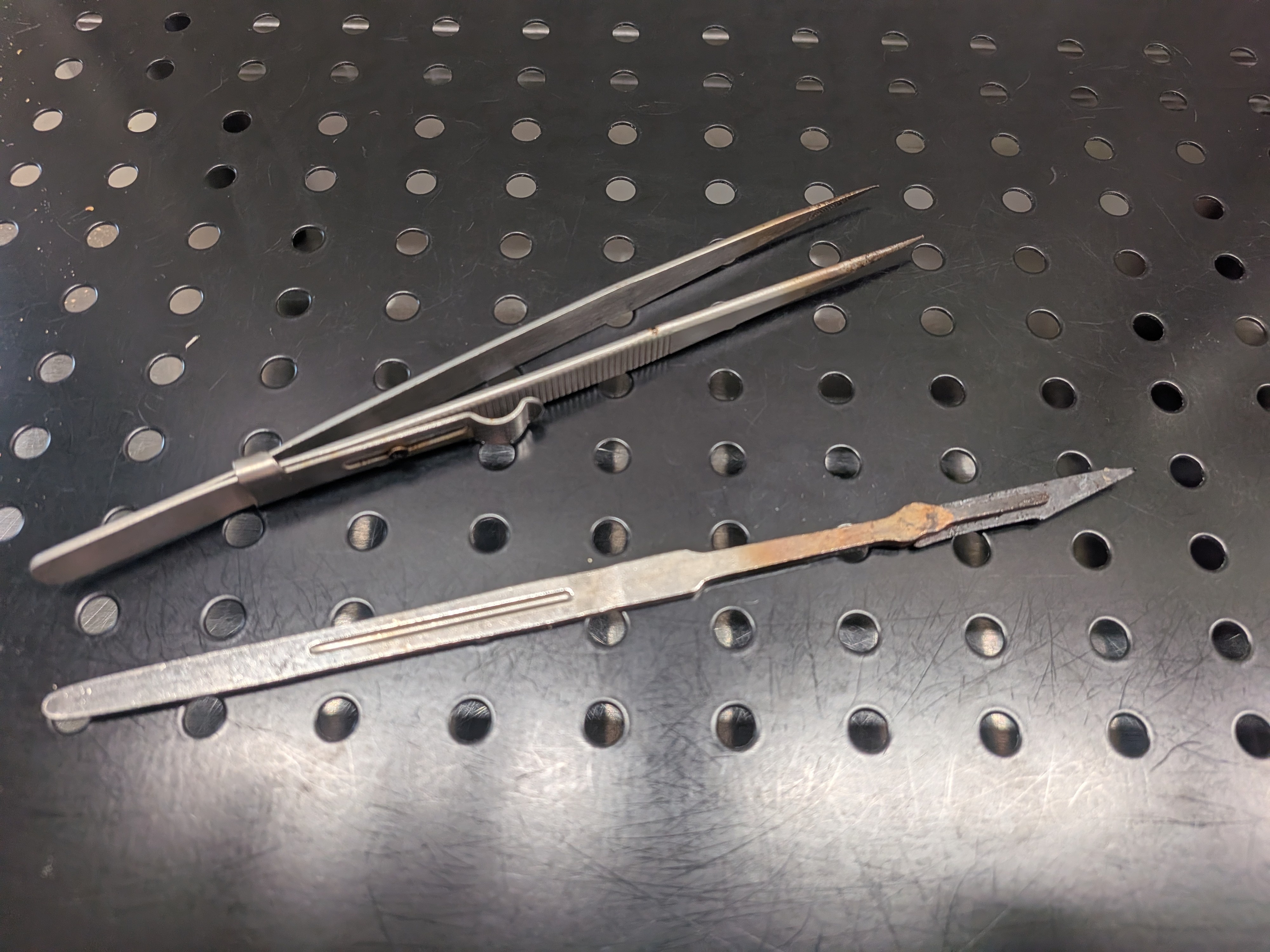 Mycology Tools