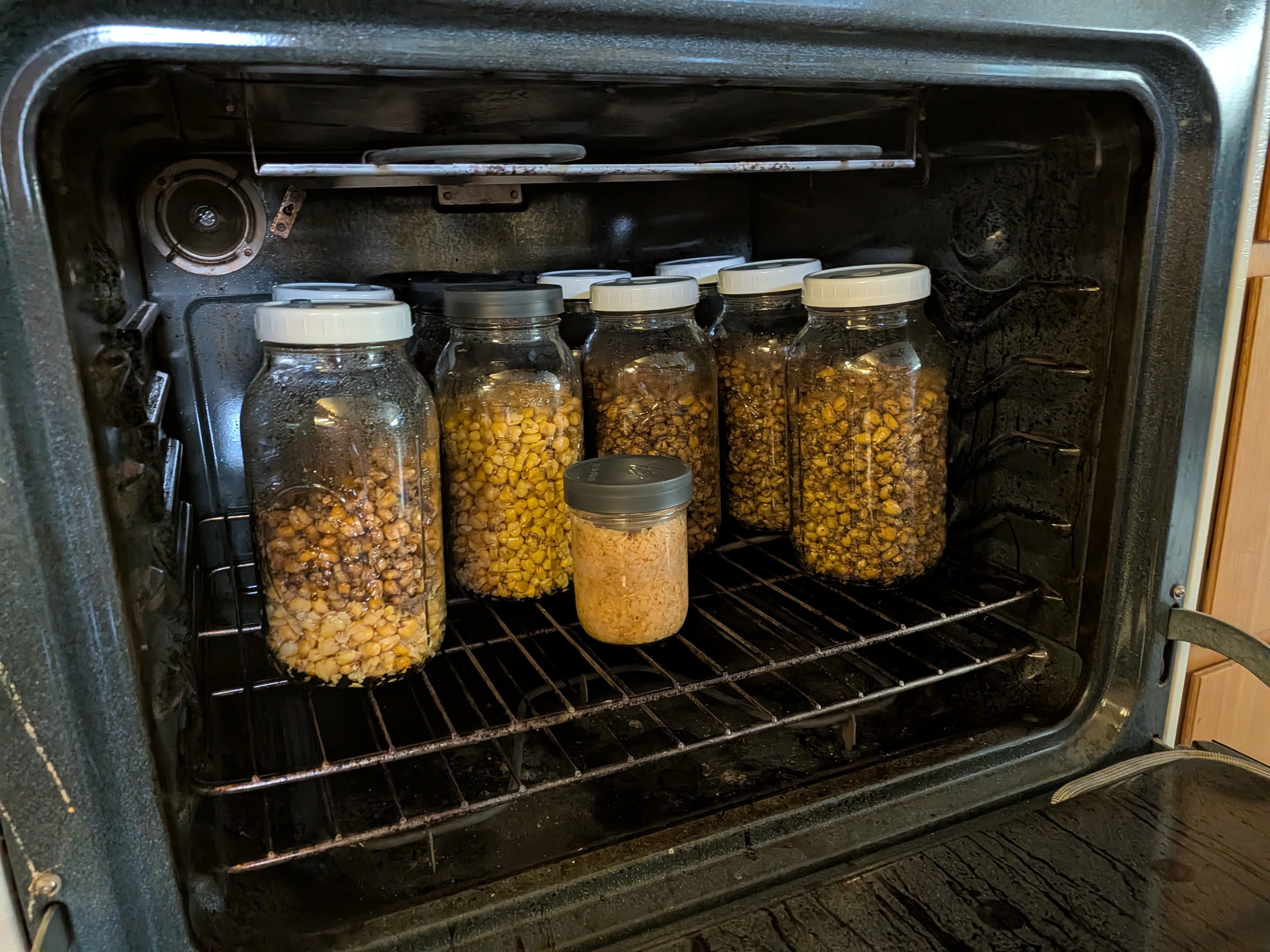 Sterilized jars in oven