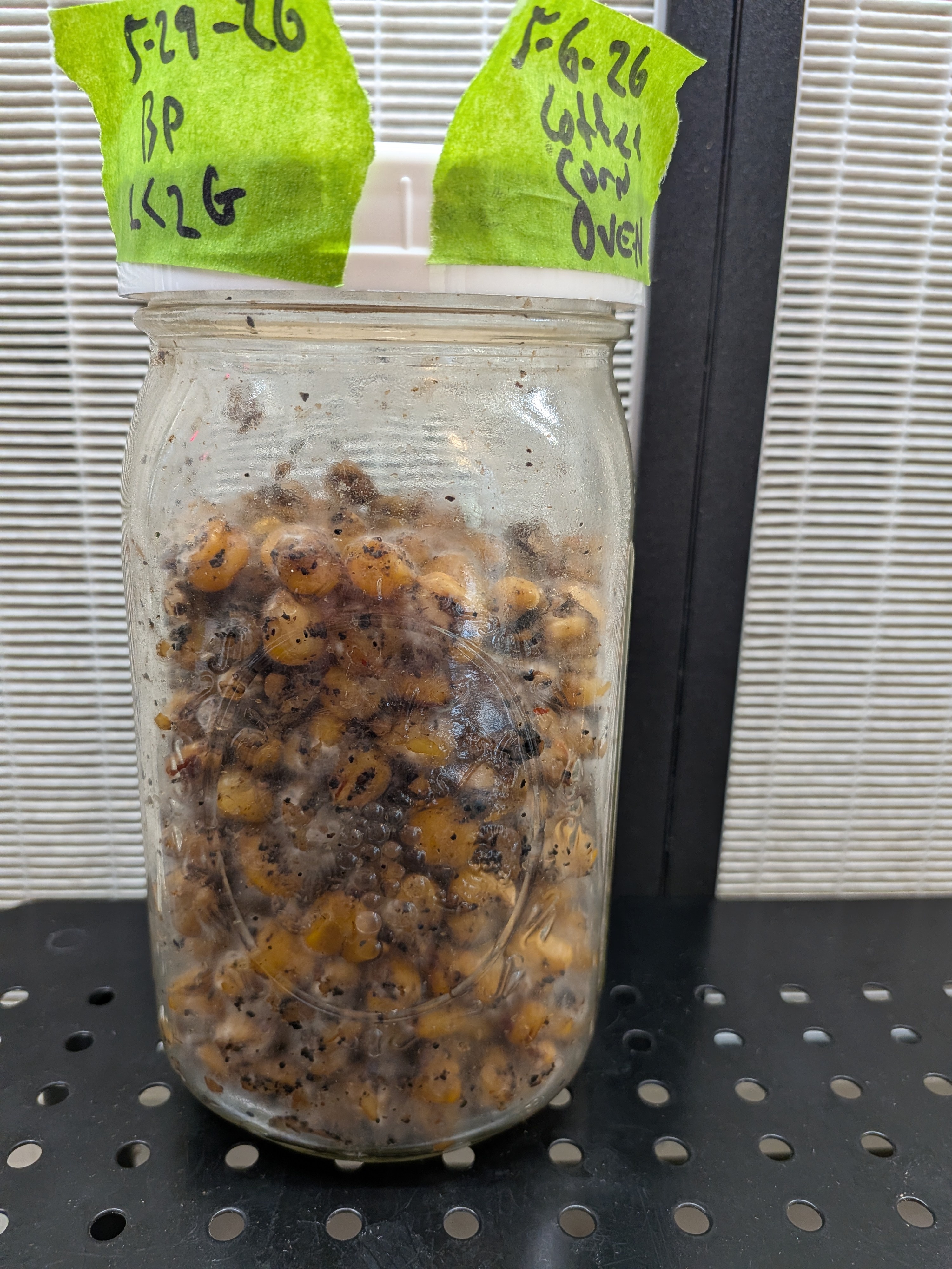 Black Poplar Grain Jar