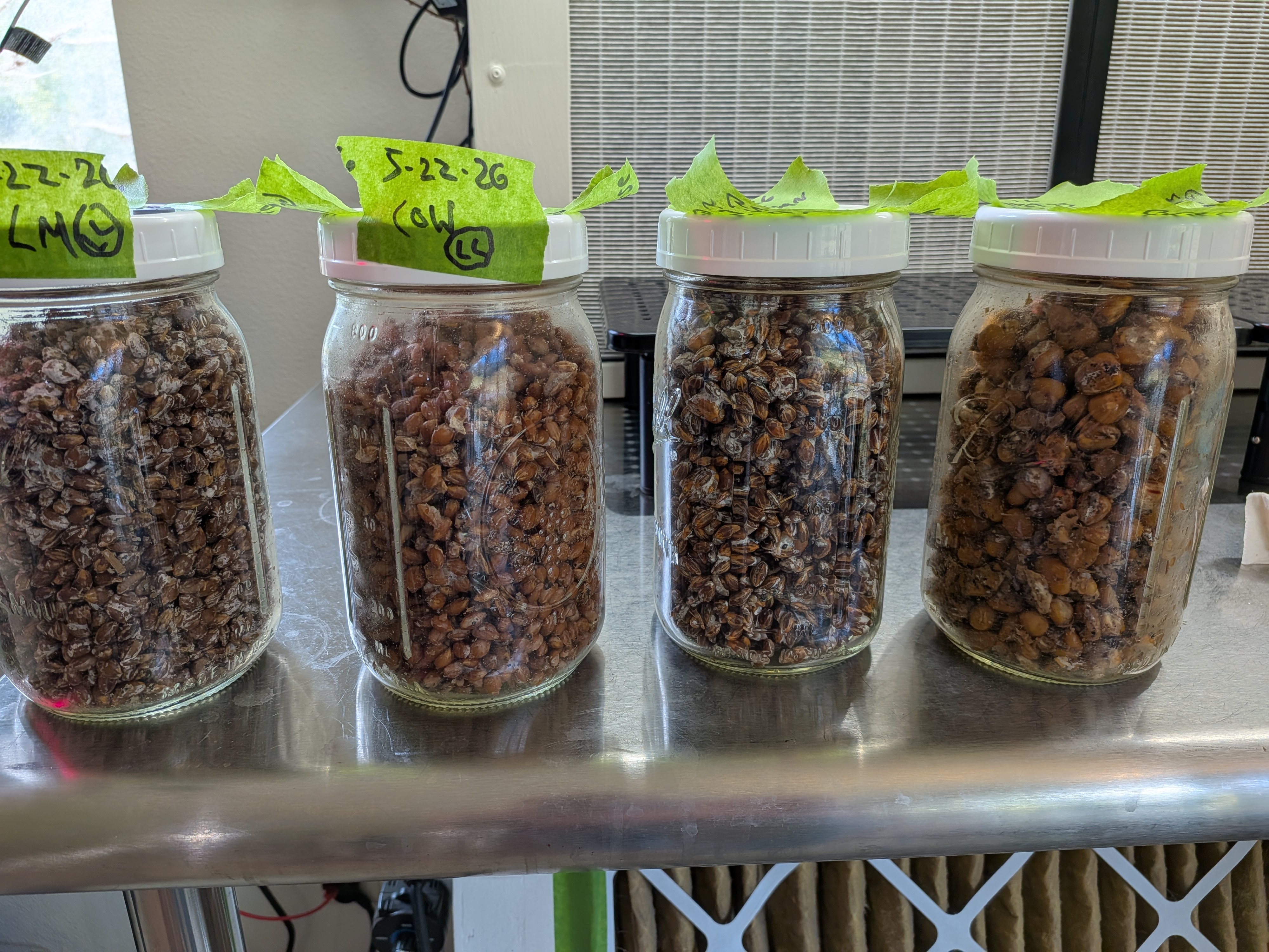 Grain Jars Shaken for G2G