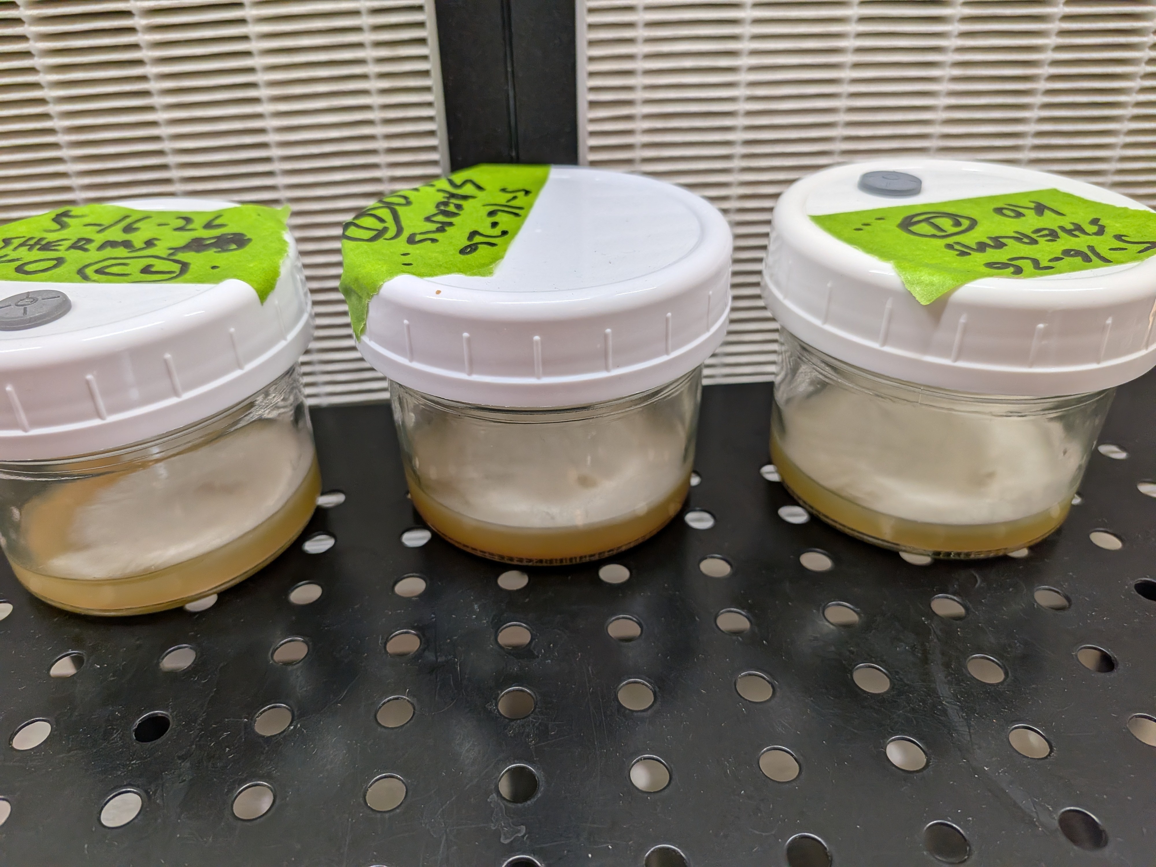 Grocery Store Cloning Project
