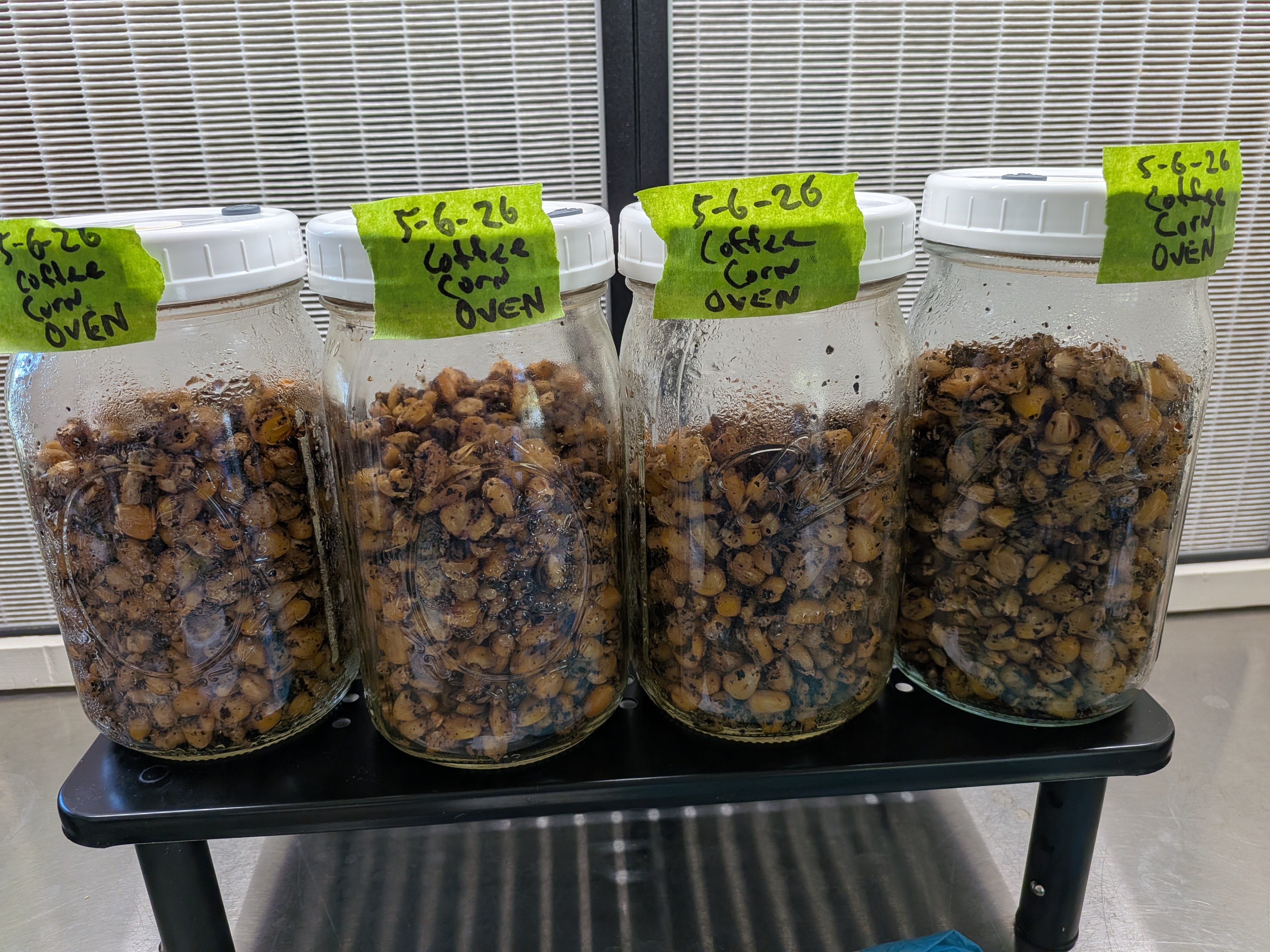 Oven Tek Reliability Trial