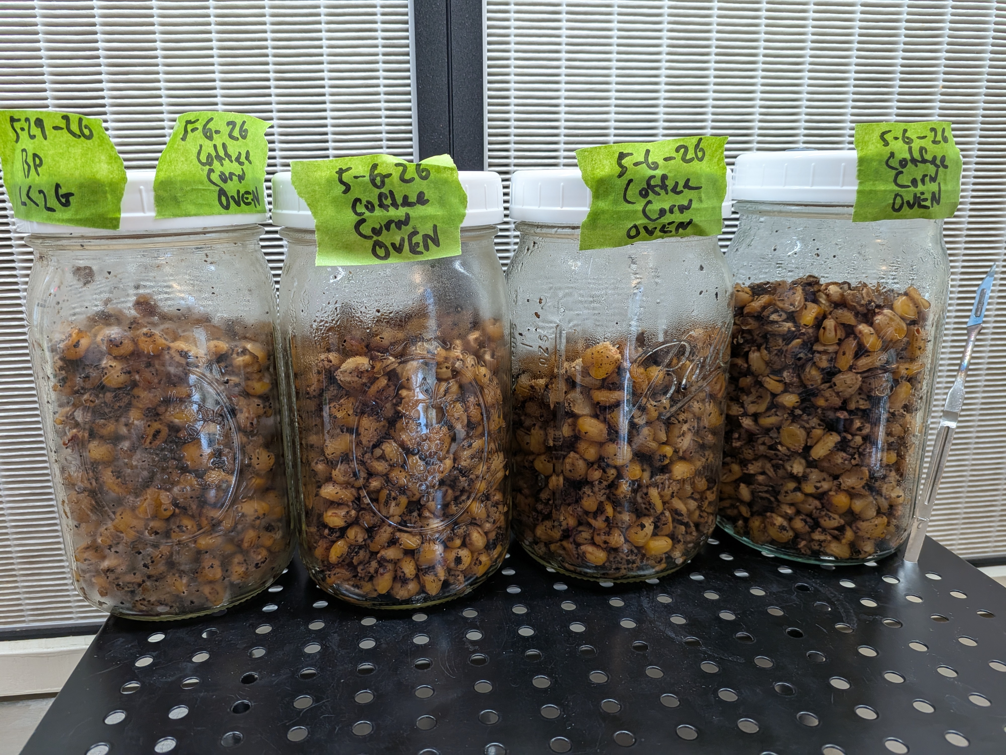 Oven Tek Reliability Trial