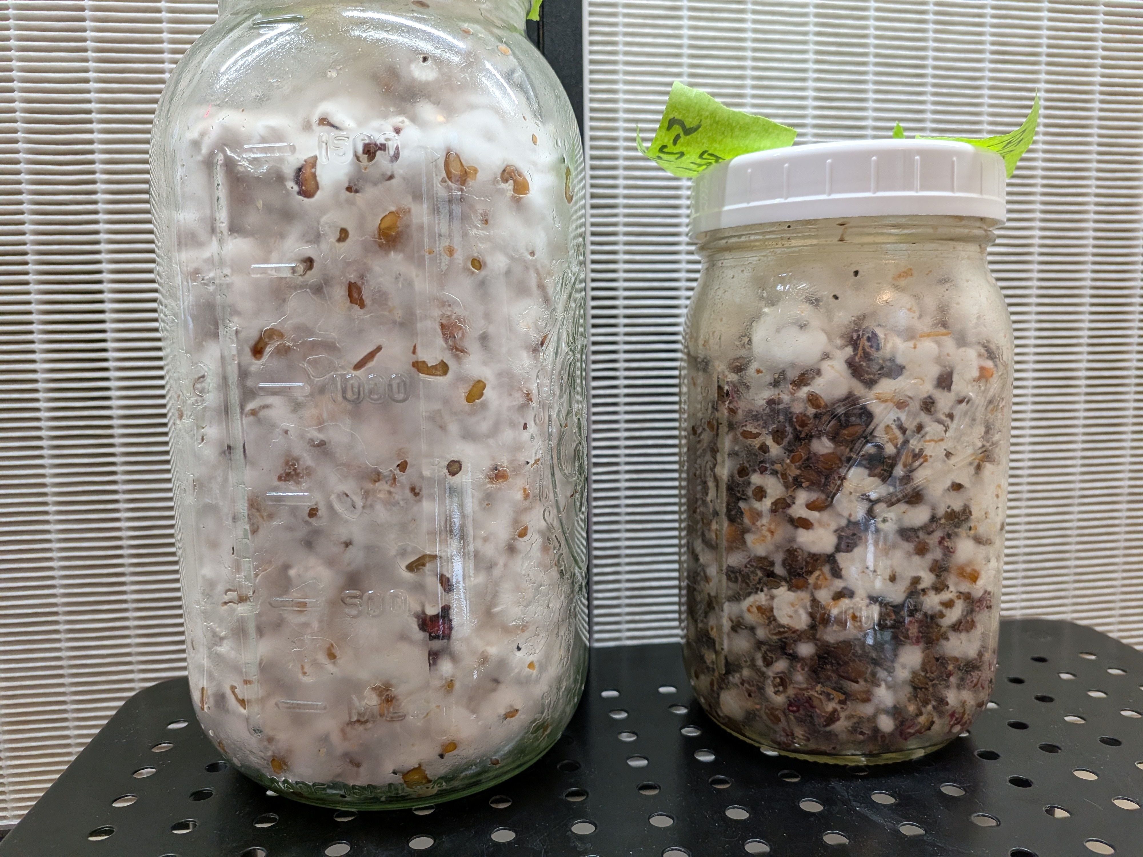Vented vs Unvented Comparison