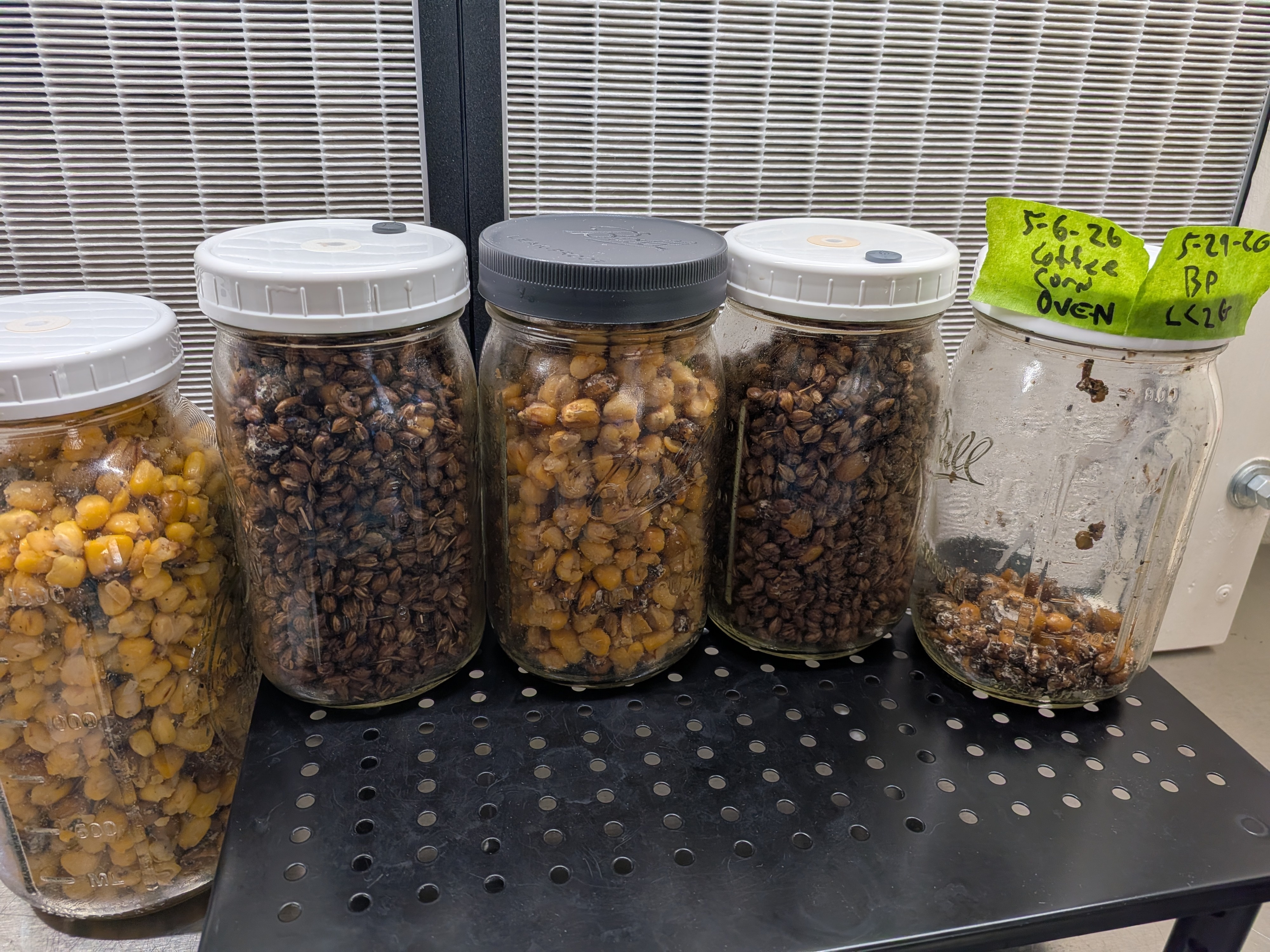 Unmodified PP5 Lid Trial