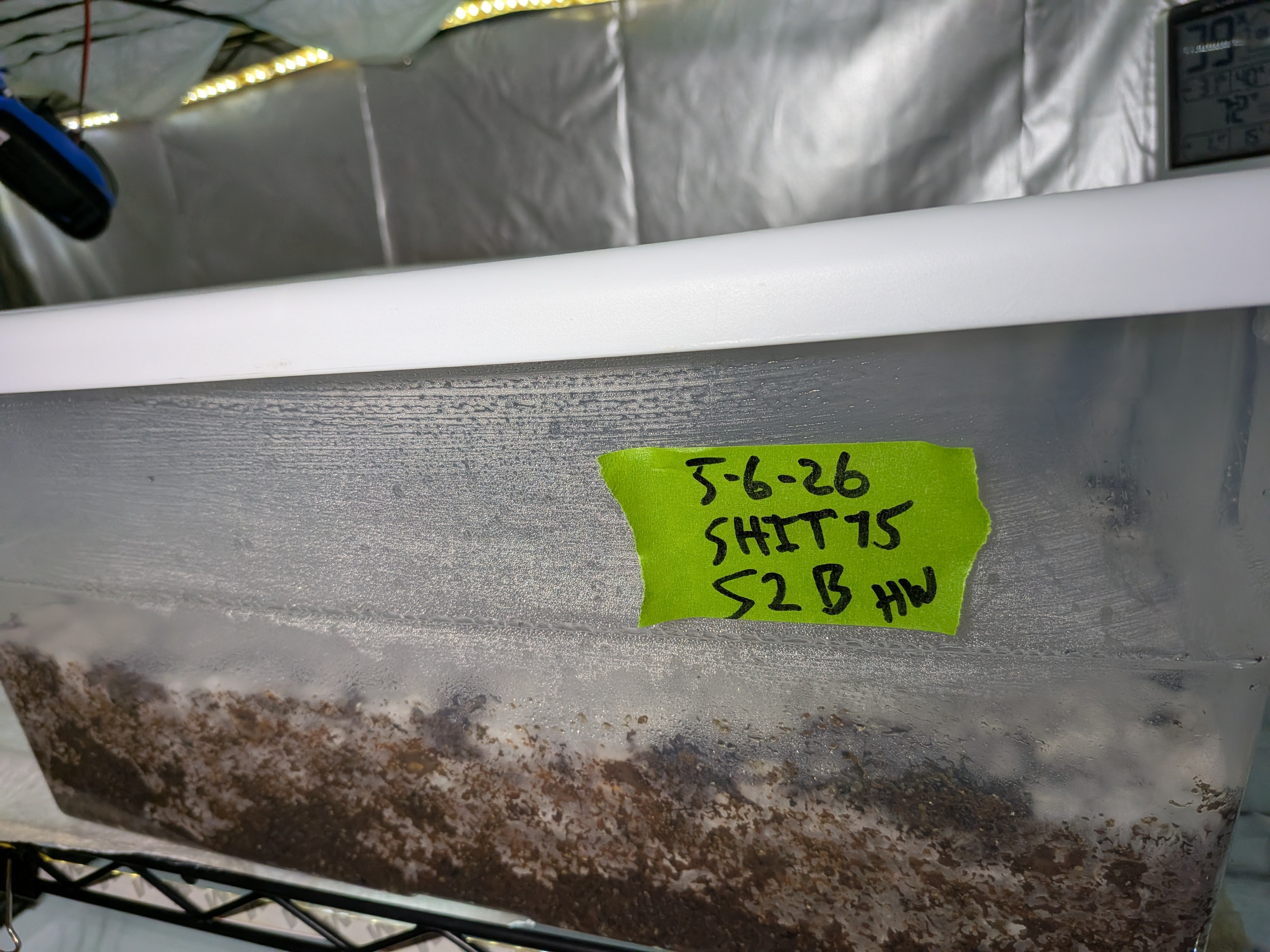 Shiitake 75 S2B Tub 1