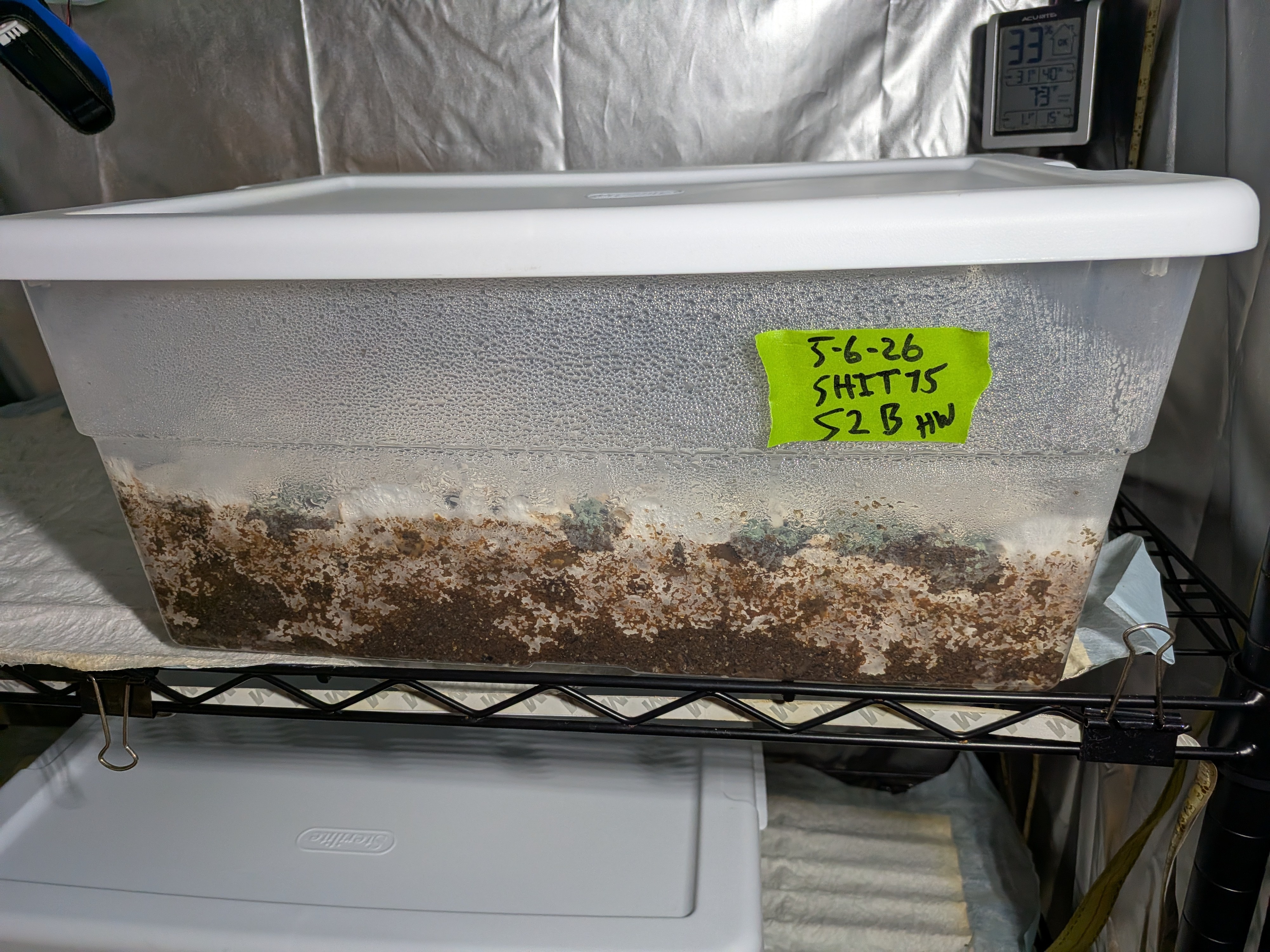 Bulk Tub Trichoderma