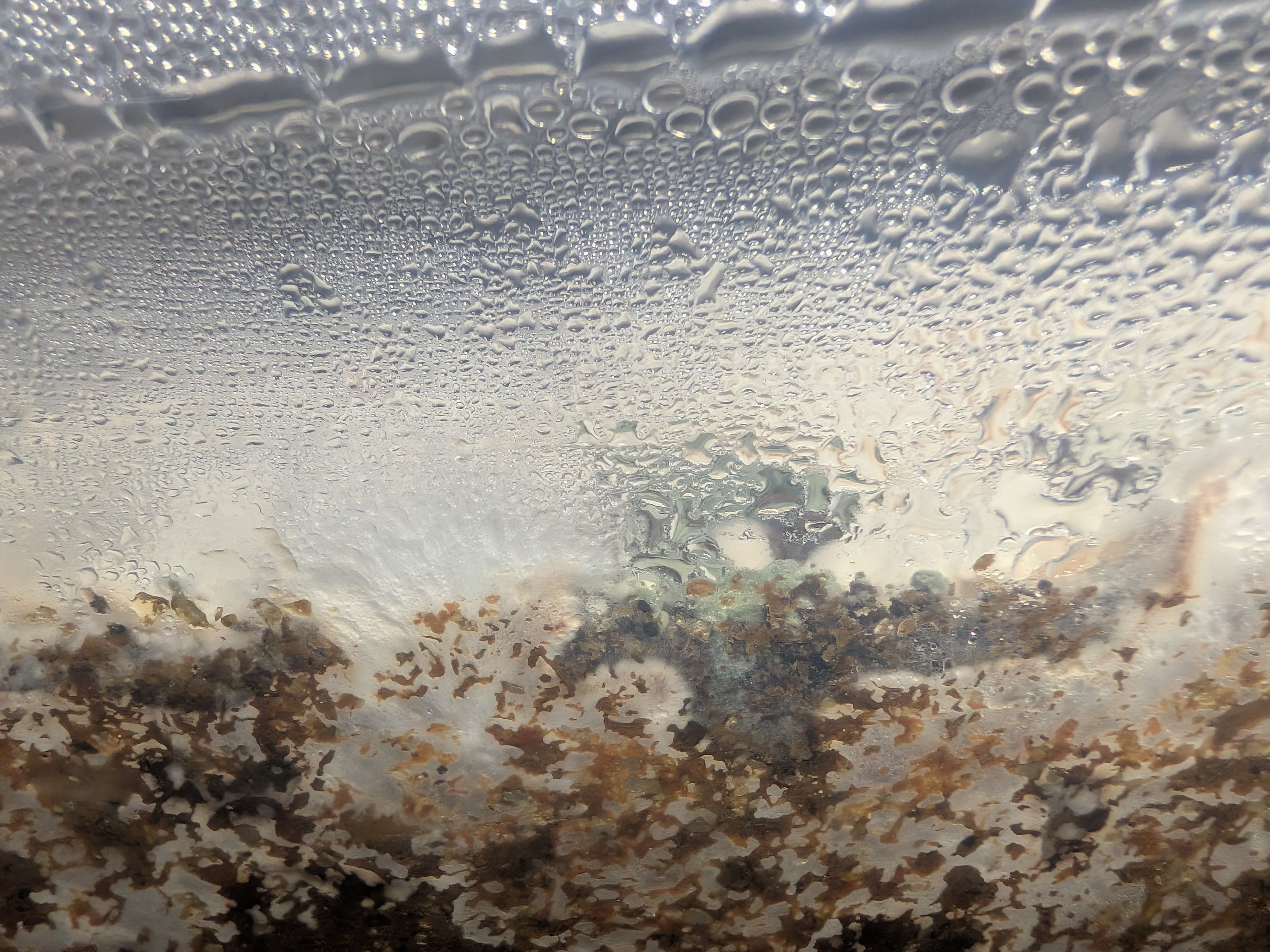 Bulk Tub Trichoderma Close-up