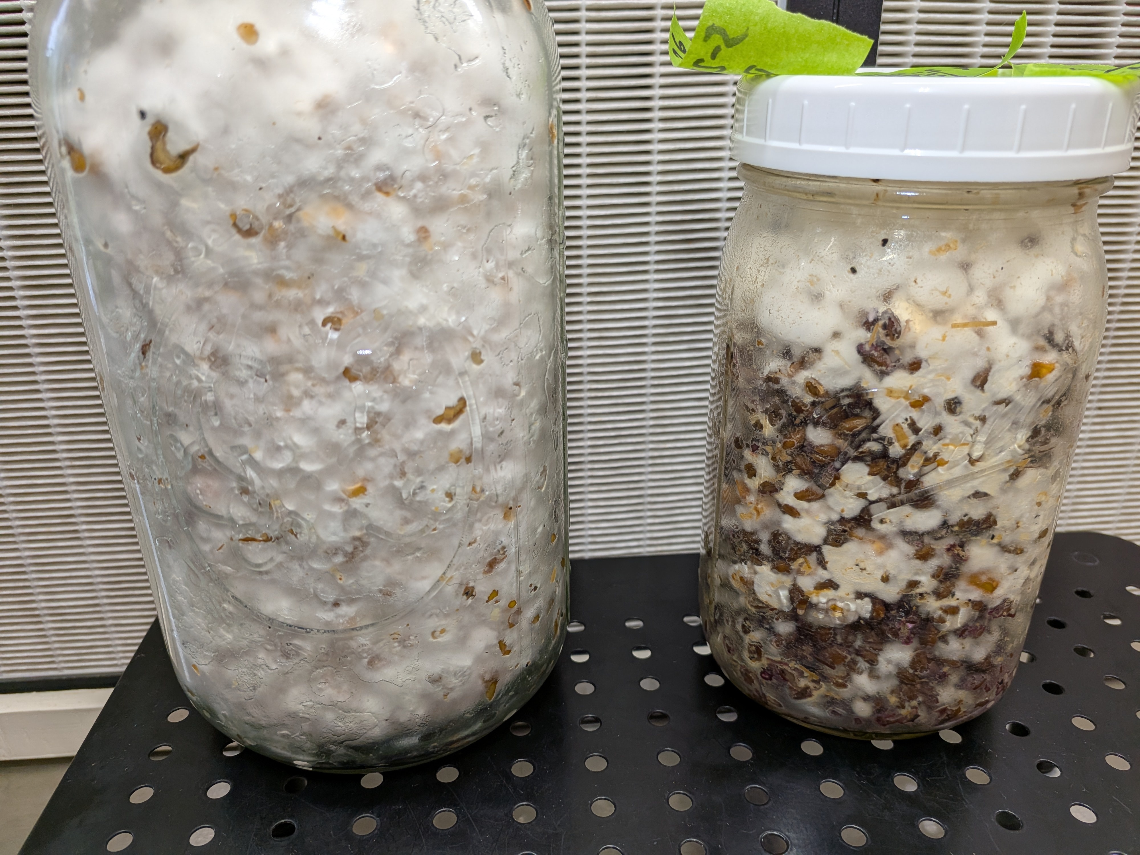 Vented vs Unvented Comparison June 10