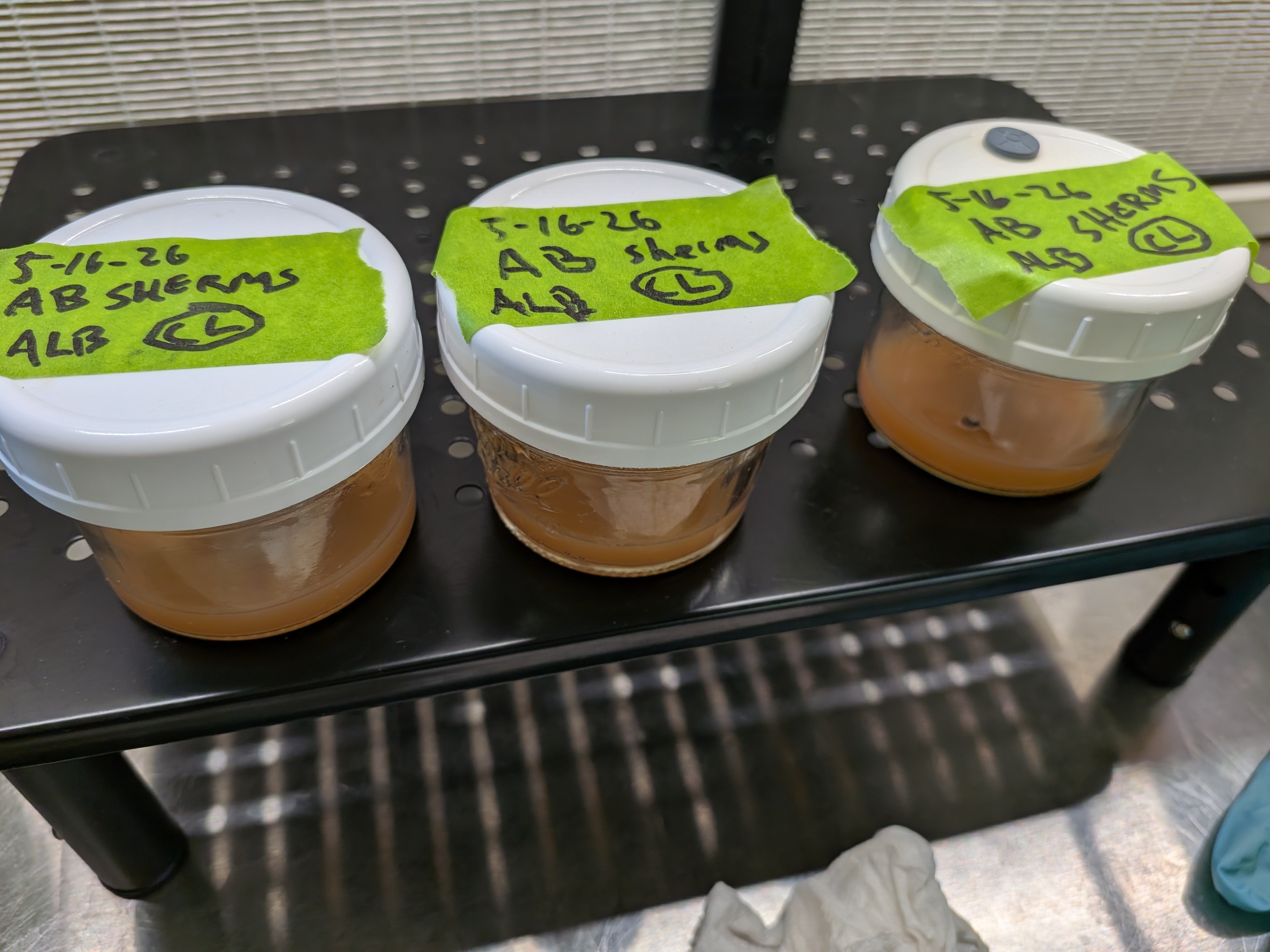 Grocery Store Cloning Project